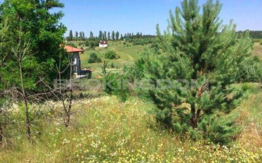 Фото 1. Участок, продажа. Музичи Проекторна