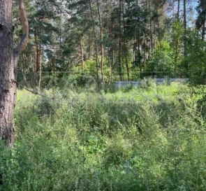 Фото 2. Ділянка, продаж. Ходосівка Соборна