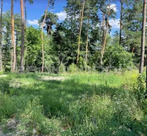 Фото 3. Ділянка, продаж. Ходосівка Соборна