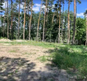 Фото 4. Ділянка, продаж. Ходосівка Соборна