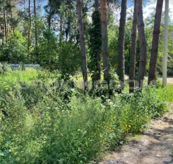 Фото 1. Ділянка, продаж. Ходосівка Соборна