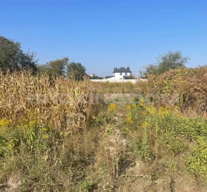 Фото 2. Ділянка, продаж. Тарасівка Весняна