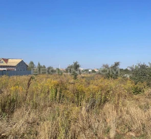 Фото 4. Ділянка, продаж. Тарасівка Весняна