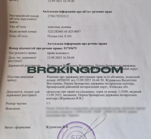 Фото 5. Участок, продажа. Заворычи Гринченко