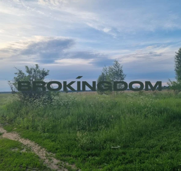 Фото 1. Участок, продажа. Заворычи Гринченко