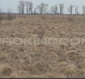 Photo 5. Lot, for sale. Pohreby Воєдила