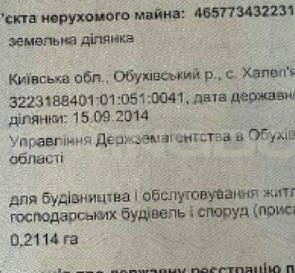 Fotografie 2. Teren, de vânzare. Halep`ya Шевченко