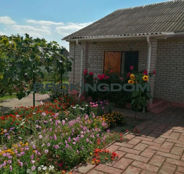 Фото 1. Дом, продажа. Липовка Шевченко