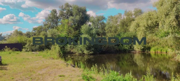 Fotografie 1. Teren, de vânzare. Protsiv Pasichna