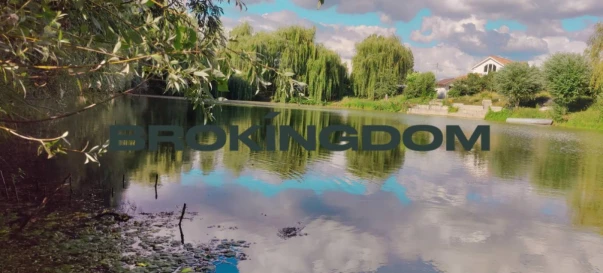 Fotografie 2. Teren, de vânzare. Protsiv Pasichna