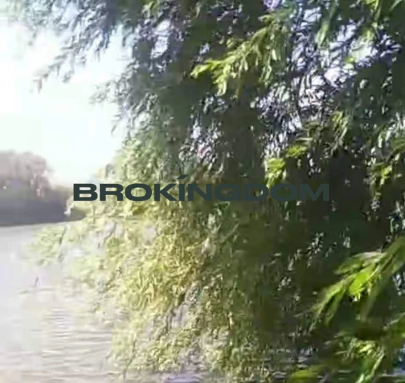 Фото 1. Дом, продажа. Червона Слобідка