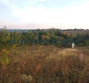 Фото 3. Участок, продажа. Обухов Васильковая