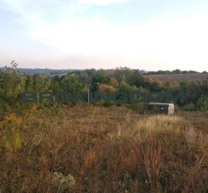 Фото 4. Участок, продажа. Обухов Васильковая