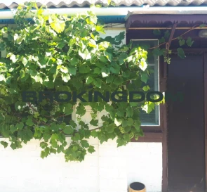 Photo 2. House, for sale. Слобідка