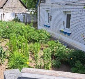 Фото 4. Дом, продажа. Козиивка