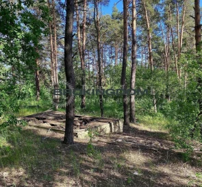 Фото 2. Участок, продажа. Киев Голосіївський