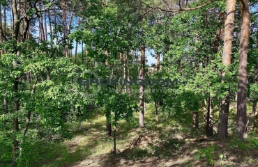 Фото Участок, продажа. Киев Голосіївський