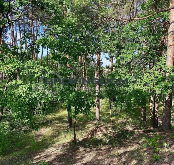 Фото 1. Участок, продажа. Киев Голосіївський