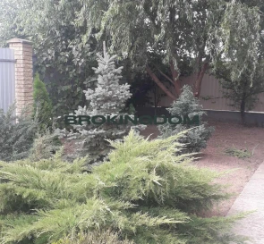 Фото 3. Дом, продажа. Старые Петровцы Юрія Гагаріна