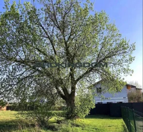 Photo 2. Lot, for sale. Pukhivka Lisova