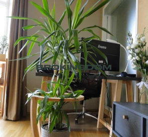 Фото 3. Дом, продажа. Киев Подільський