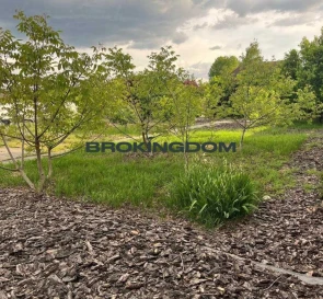 Фото 4. Участок, продажа. Гатное