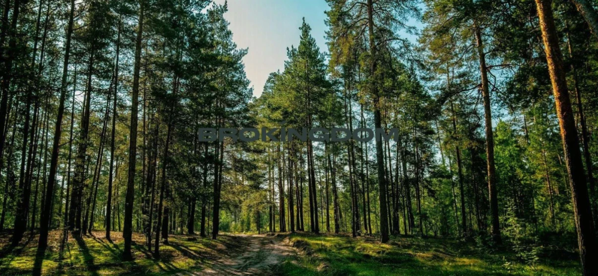 Фото Участок, продажа. Лесники Квіткова