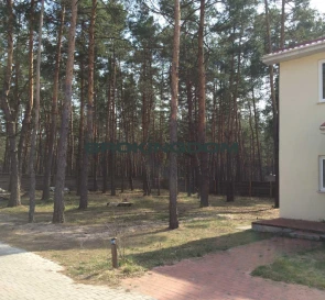 Фото 3. Дом, продажа. Хотяновка Садовая