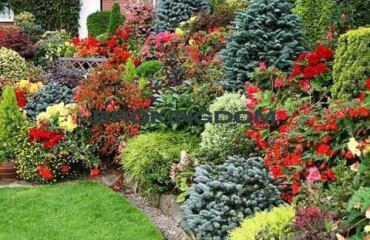 Фото Будинок, продаж. Київ Шевченківський