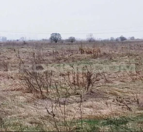 Фото 5. Участок, продажа. Зазим'я