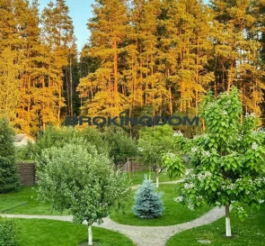 Фото 3. Дом, продажа. Зозули Гагарина