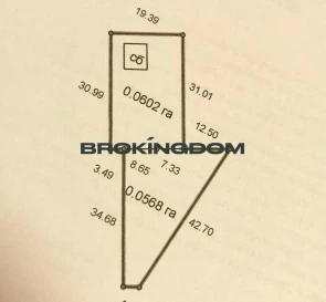 Фото 4. Дом, продажа. Зозули Гагарина