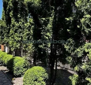 Photo 3. House, for sale. Kyiv Солом'янський