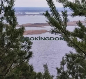 Фото 2. Дом, продажа. Витачив Молодежная