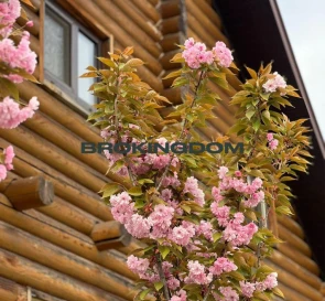 Zdjęcie 4. Dom, na sprzedaż. Sofiivska Borshchahivka Kyivska