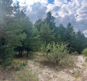 Фото 2. Участок, продажа. Вышгород Шевченко