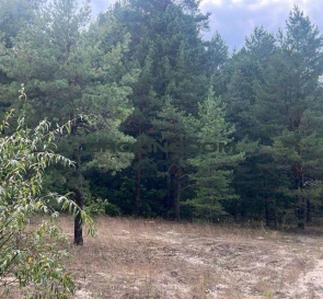 Фото 3. Участок, продажа. Вышгород Шевченко