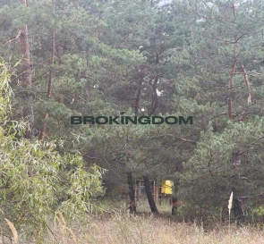 Фото 4. Участок, продажа. Вышгород Шевченко