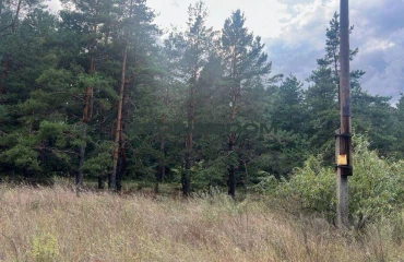 Фото Ділянка, продаж. Вишгород Шевченка