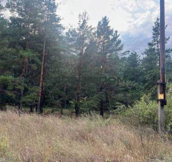 Фото 1. Участок, продажа. Вышгород Шевченко