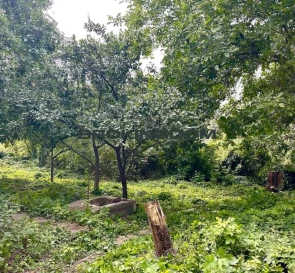 Фото 4. Ділянка, продаж. Київ Голосіївський