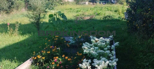 Фото 1. Ділянка, продаж. Київ Деснянський