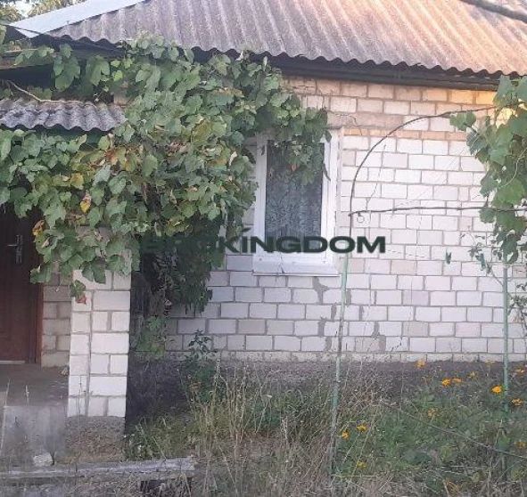 Photo 1. House, for sale. Novosilky Kyivska