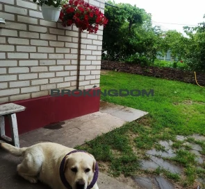 Fotografie 3. Casă, de vânzare. Liutizh "Новий" масив