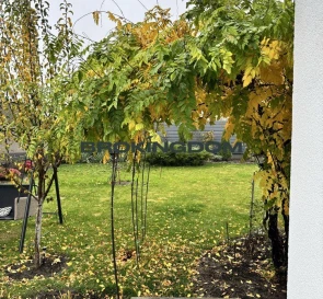 Foto 5. Casa, en venta. Zelenyi Bir Sadova