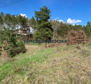 Fotografie 2. Teren, de vânzare. Neshcheriv Польок