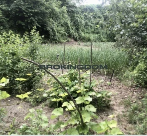 Фото 2. Будинок, продаж. Хотів пиригівська