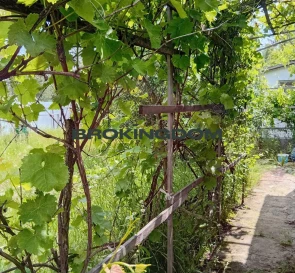 Фото 5. Дом, продажа. Блиставиця Ярослава Мудрого