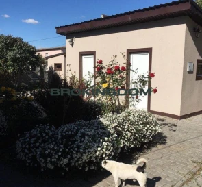 Фото 3. Будинок, продаж. Гребінки Київська