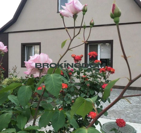 Фото 1. Будинок, продаж. Гребінки Київська